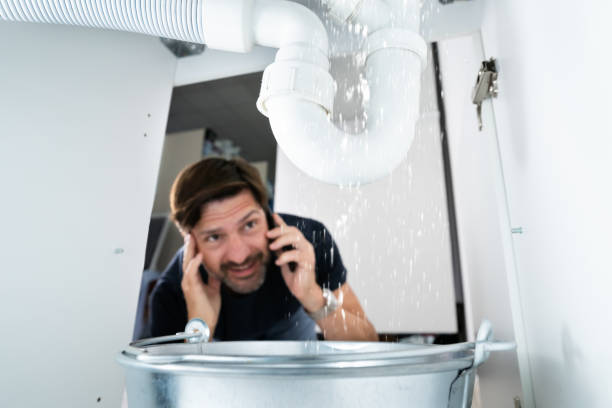 Best Local Plumber Services  in Verona Walk, FL