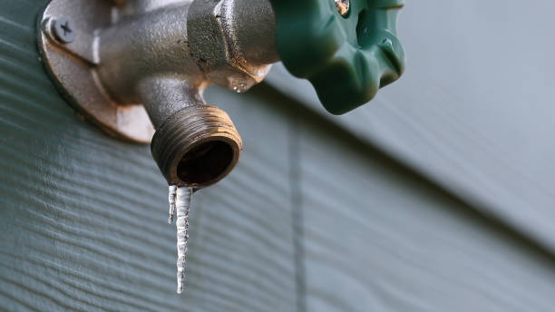Best Clogged Drain Plumber  in Verona Walk, FL